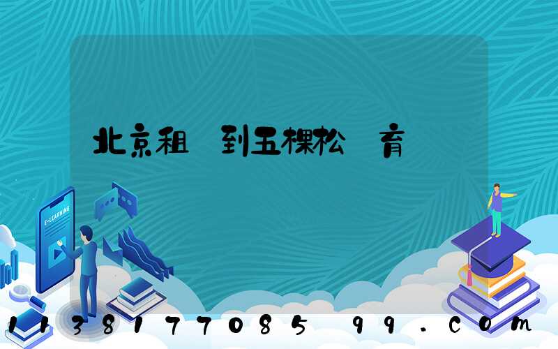 北京租車到五棵松體育館