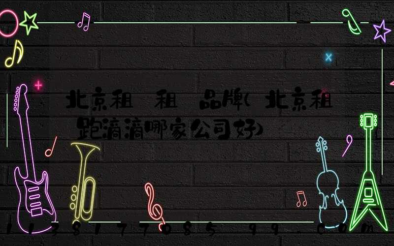 北京租車租車品牌(北京租車跑滴滴哪家公司好)
