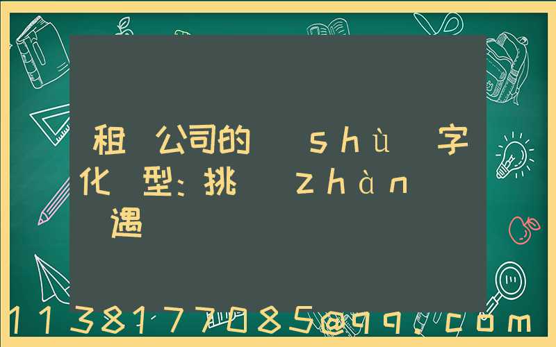 租車公司的數(shù)字化轉型：挑戰(zhàn)與機遇