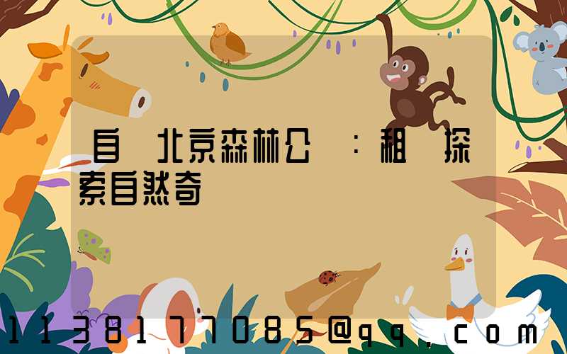 自駕北京森林公園：租車探索自然奇觀