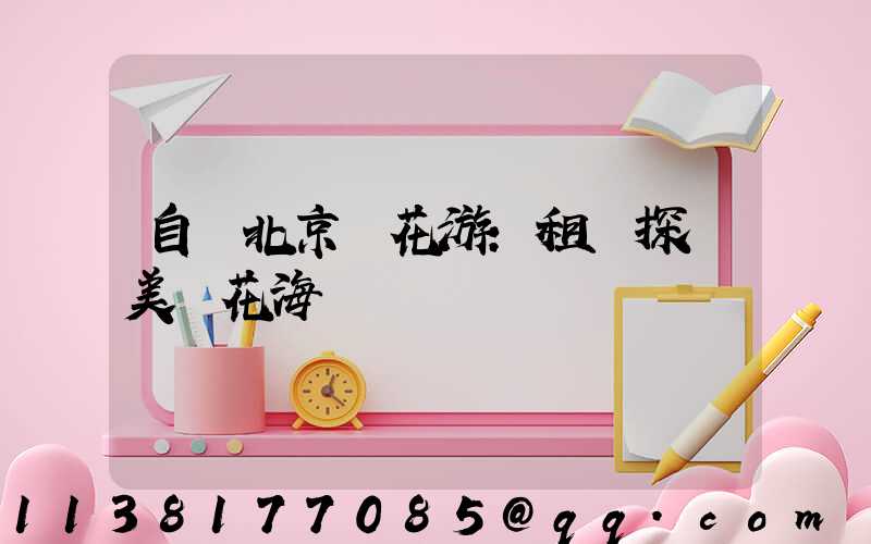 自駕北京賞花游：租車探訪美麗花海