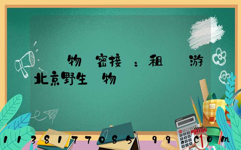 與動物親密接觸：租車暢游北京野生動物園